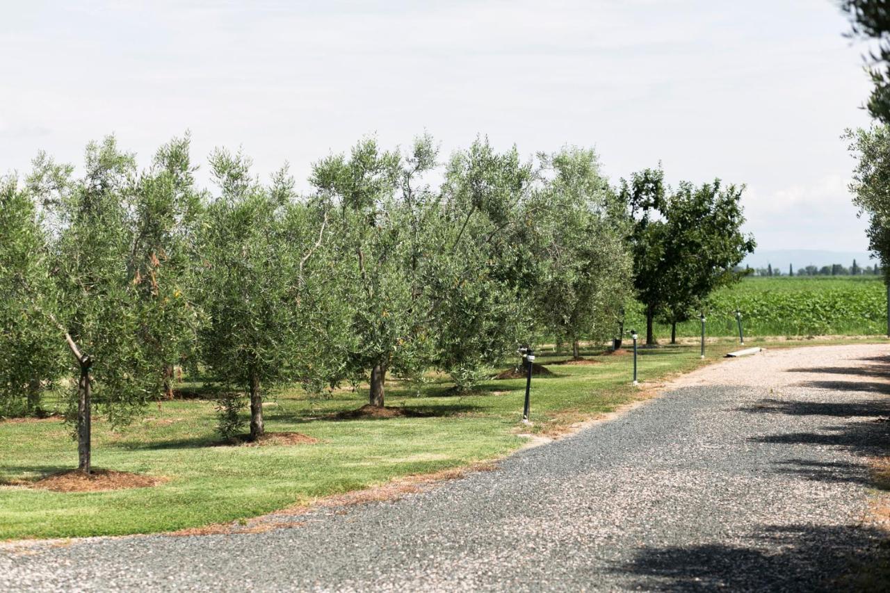Agriturismo Valdo Grosseto Luaran gambar