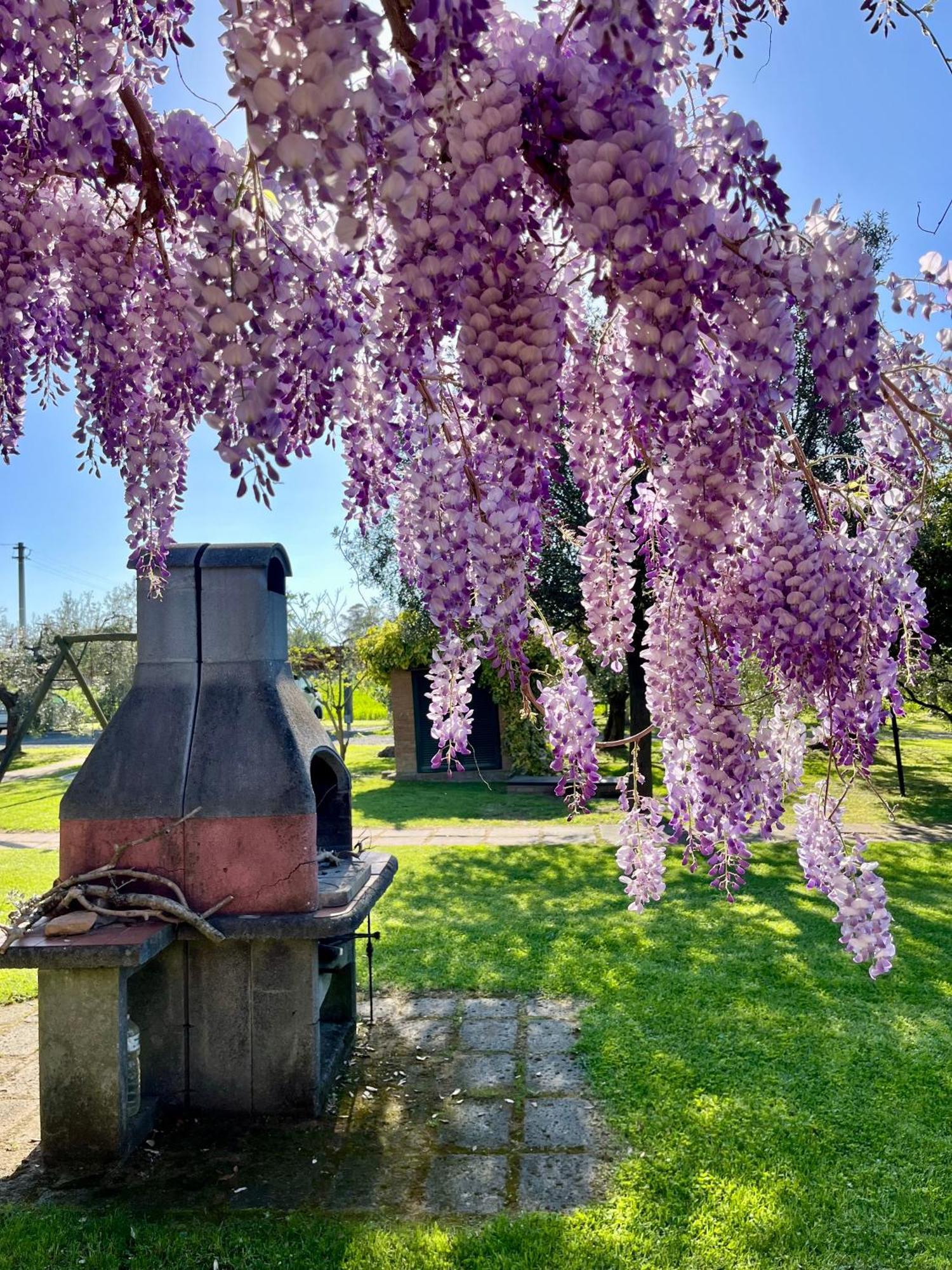 Agriturismo Valdo Grosseto Luaran gambar