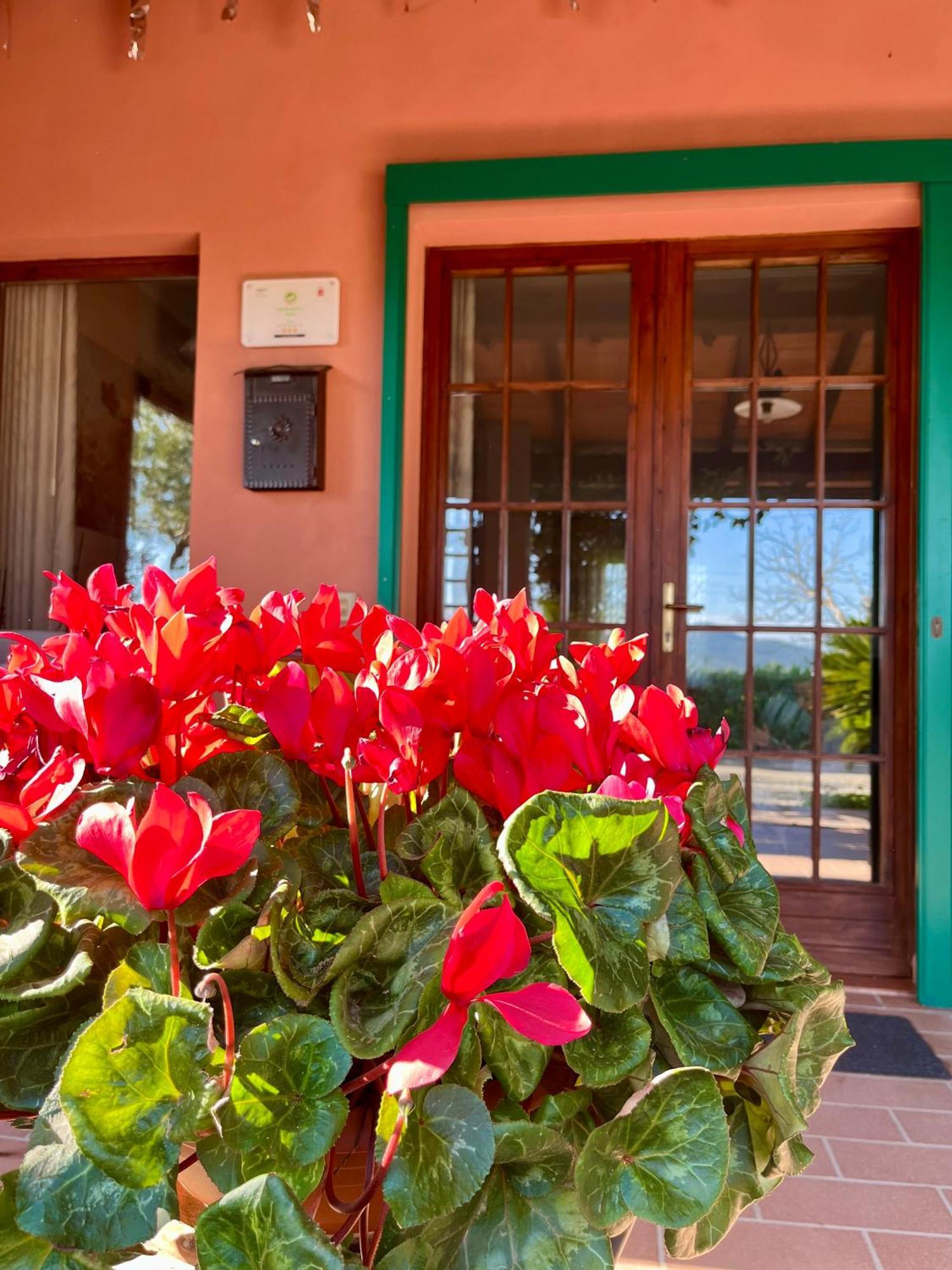 Agriturismo Valdo Grosseto Luaran gambar