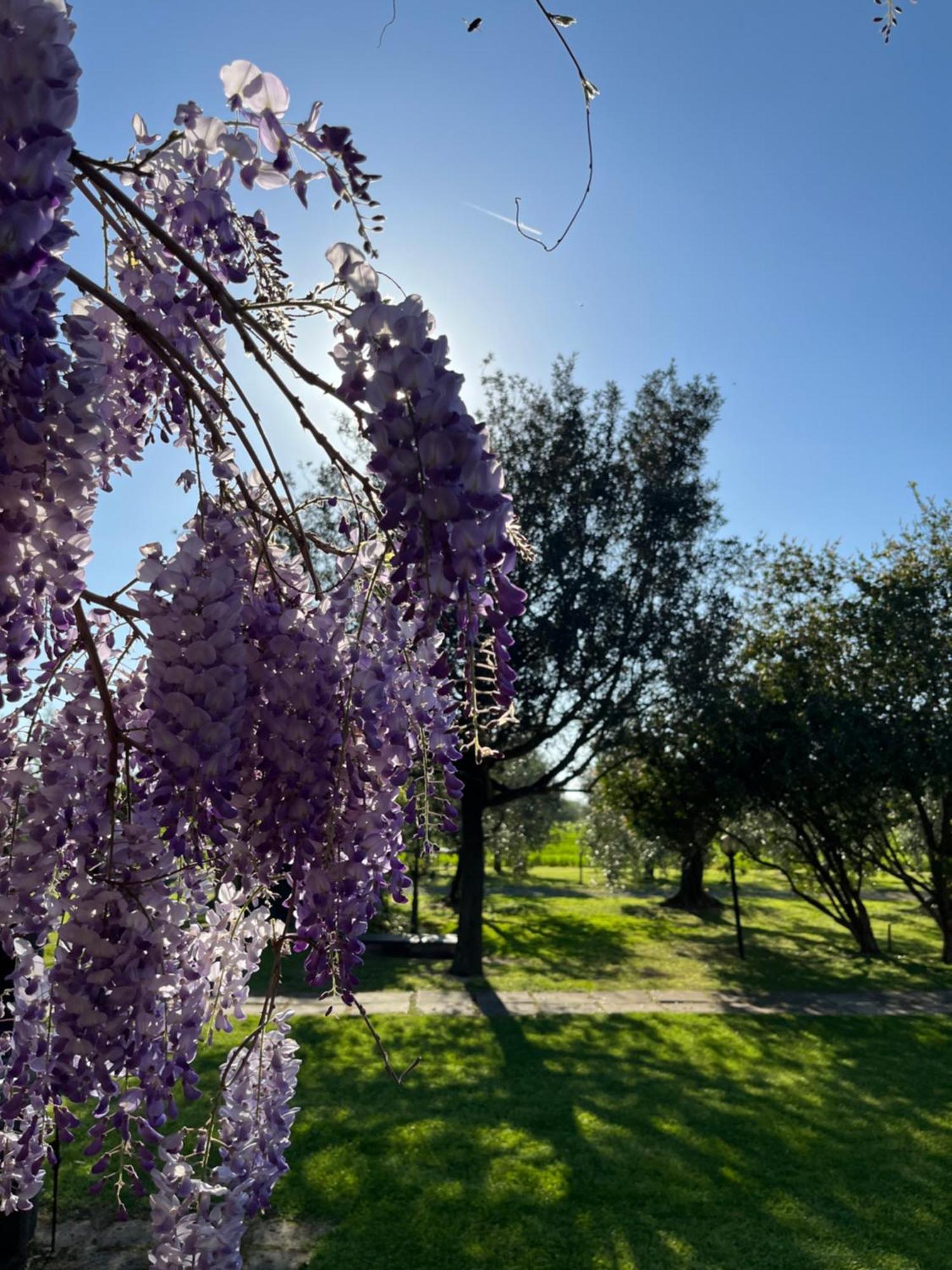 Agriturismo Valdo Grosseto Luaran gambar